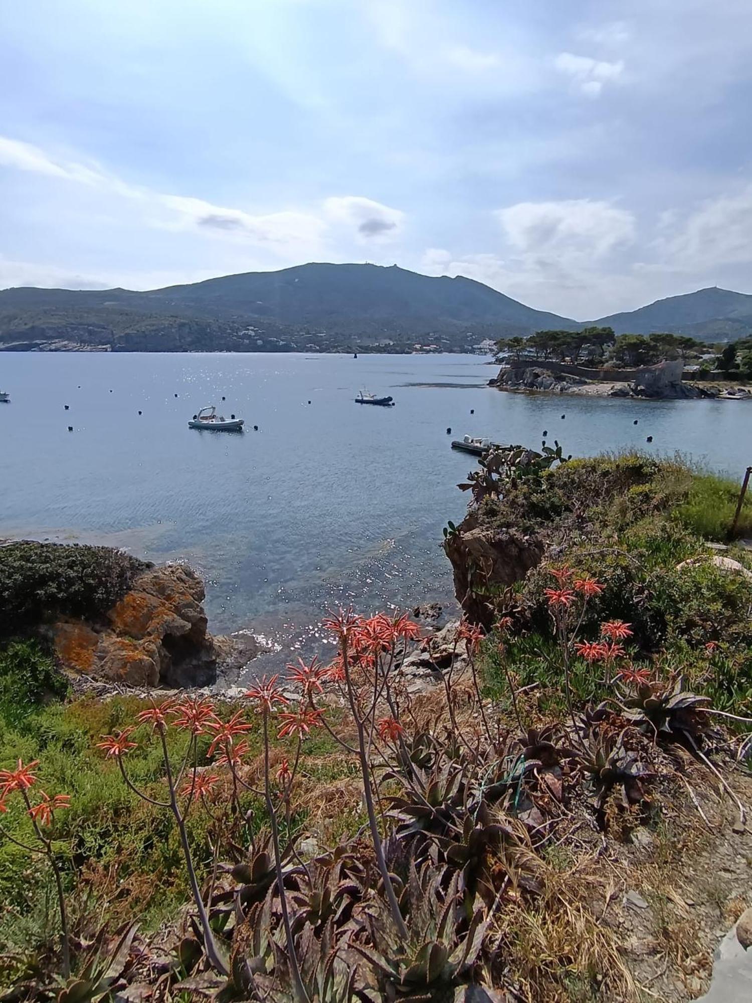 Isla Privada En Cadaques De Ensueno Con 11 Habitaciones Dobles Con Bano Privado Y Piscina מראה חיצוני תמונה