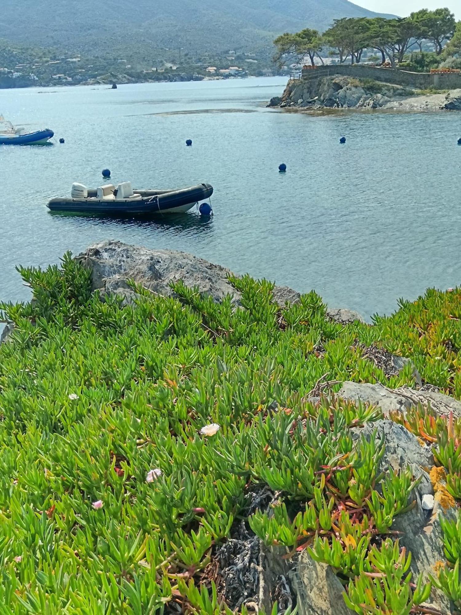 Isla Privada En Cadaques De Ensueno Con 11 Habitaciones Dobles Con Bano Privado Y Piscina מראה חיצוני תמונה