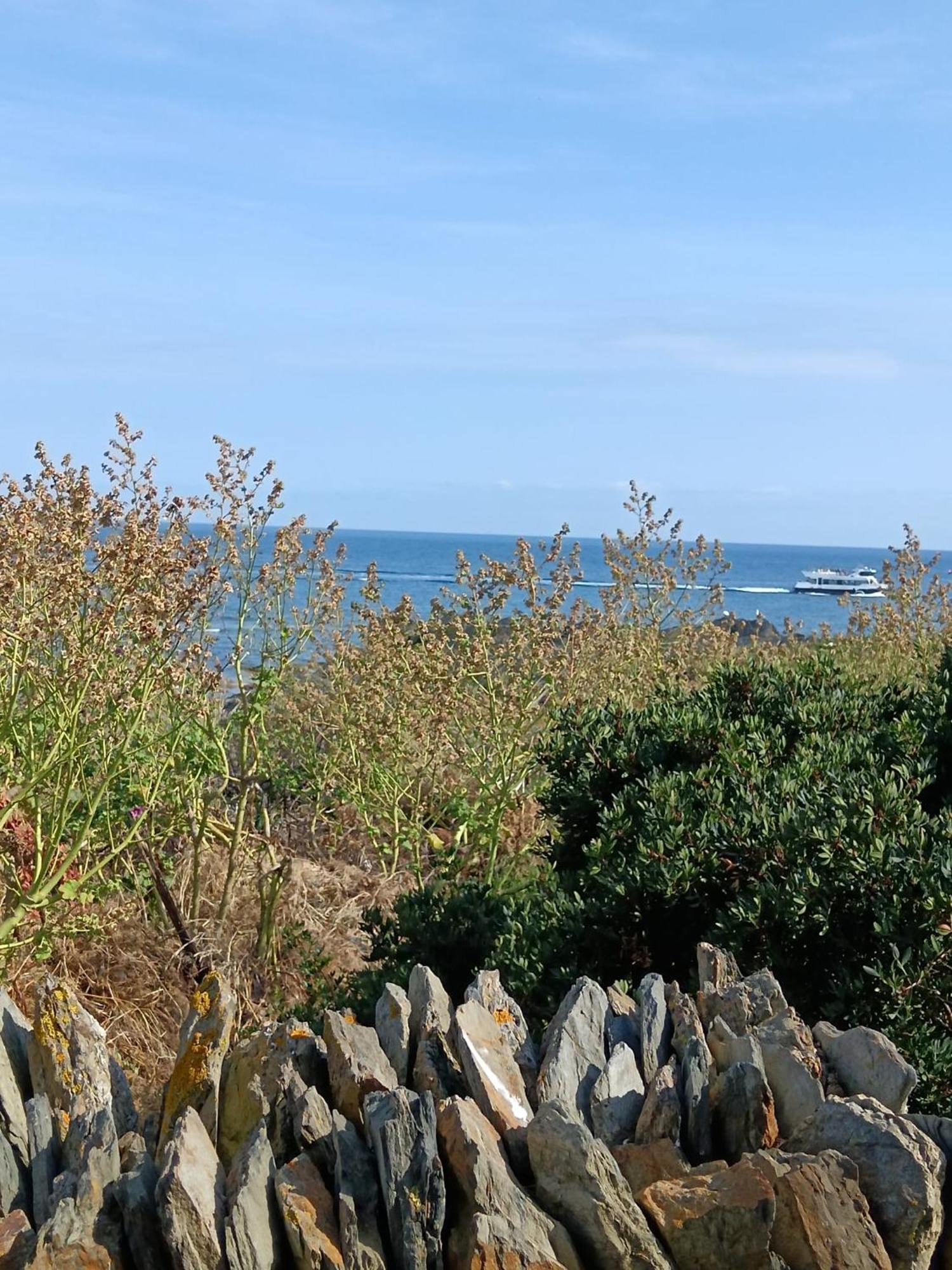 Isla Privada En Cadaques De Ensueno Con 11 Habitaciones Dobles Con Bano Privado Y Piscina מראה חיצוני תמונה